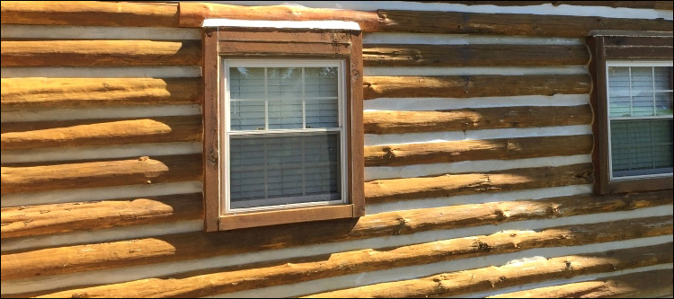 Log Home Whole Log Replacement  Putnam County, Georgia
